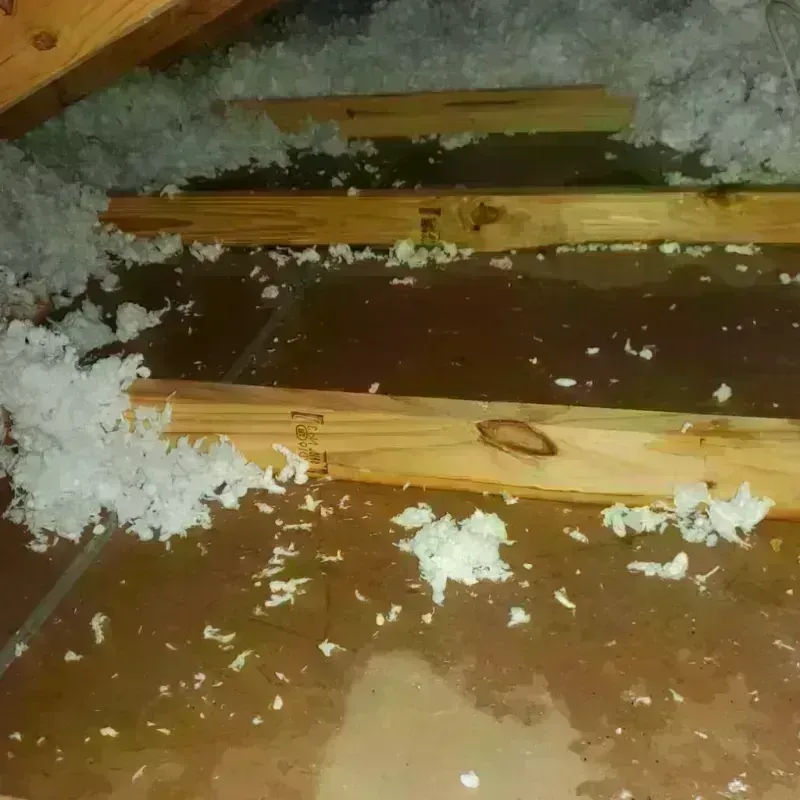 Attic Water Damage in Martinsville, IN